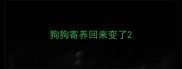 狗狗寄养回来变了
