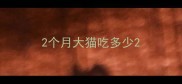 2个月大猫吃多少