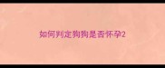 如何判定狗狗是否怀孕