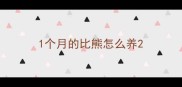 1个月的比熊怎么养