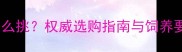 两个月大马犬怎么挑权威选购指南与饲养要点附图片