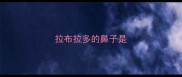 拉布拉多的鼻子是