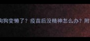 救命疫苗后狗狗变懒了疫苗后没精神怎么办附紧急处理指南