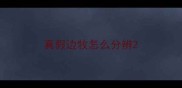 真假边牧怎么分辨