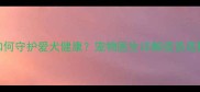 进口狂犬疫苗如何守护爱犬健康宠物医生详解疫苗选择与接种全指南