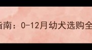 萨摩耶最佳购买时间指南0-12月幼犬选购全附性格健康对比