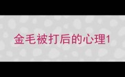 金毛被打后的心理