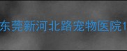 东莞新河北路宠物医院