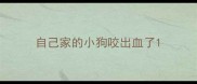 自己家的小狗咬出血了