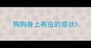 狗狗身上有虫的症状