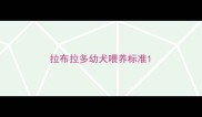 拉布拉多幼犬喂养标准