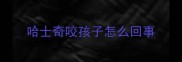 哈士奇咬孩子怎么回事