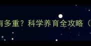 猫咪一个月大有多重科学养育全攻略附发育指标