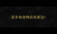 派多格宠物店张家边