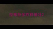 拉布拉多咋样催吐