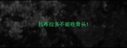 拉布拉多不能吃骨头