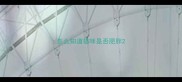 怎么知道猫咪是否肥胖