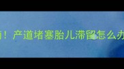 狗难产紧急处理指南产道堵塞胎儿滞留怎么办附宠物医生建议