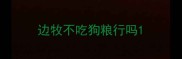 边牧不吃狗粮行吗