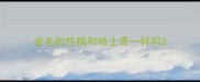 金毛的性格和哈士奇一样吗