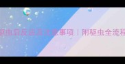猫咪体外驱虫后反应及注意事项附驱虫全流程避坑指南