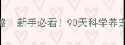 两个月大哈士奇养护全攻略新手必看90天科学养宠避坑指南附防拆家秘籍