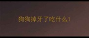 狗狗掉牙了吃什么