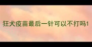 狂犬疫苗最后一针可以不打吗