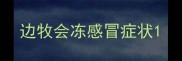 边牧会冻感冒症状