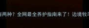 边牧眼睛颜色有两种全网最全养护指南来了边境牧羊犬眼角色差全
