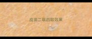 疫苗二联四联效果