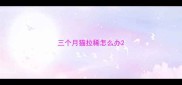 三个月猫拉稀怎么办