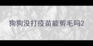 狗狗没打疫苗能剪毛吗