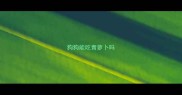 狗狗能吃青萝卜吗