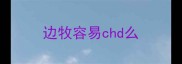 边牧容易chd么