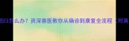 狗狗膝盖脱臼怎么办资深兽医教你从确诊到康复全流程附真实案例
