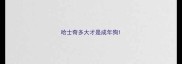 哈士奇多大才是成年狗
