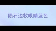 陨石边牧眼睛蓝色