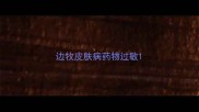 边牧皮肤病药物过敏