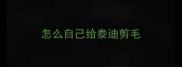 怎么自己给泰迪剪毛