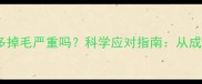 冬季拉布拉多掉毛严重吗科学应对指南从成因到护理全