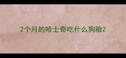 2个月的哈士奇吃什么狗粮
