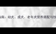 普通小狗科学喂养指南幼犬成犬老年犬营养搭配与饮食禁忌附食谱