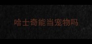 哈士奇能当宠物吗