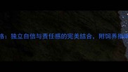 养哈士奇女生性格独立自信与责任感的完美结合附饲养指南与日常护理技巧