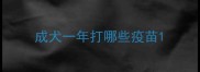成犬一年打哪些疫苗