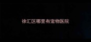 徐汇区哪里有宠物医院