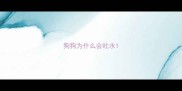 狗狗为什么会吐水