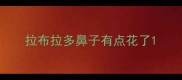 拉布拉多鼻子有点花了