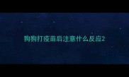 狗狗打疫苗后注意什么反应